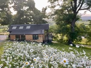 uma pequena cabana de madeira com um campo de flores em Faraway Follies em Llandegla