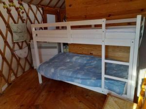a bedroom with two bunk beds in a cabin at Charmante Yourte contemporaine in Carmaux