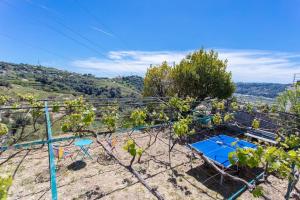 a vineyard with a blue table on a hill at L3 Vinayard view Jacuzzi 2BDR parking terraces BBQ AC in Nice