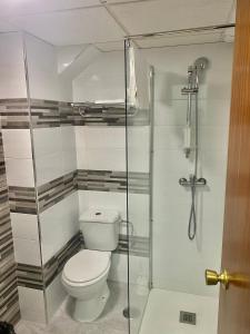 a bathroom with a toilet and a glass shower at My Pretty Payma Apartamentos in Benidorm