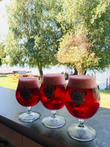 tre bicchieri di vino seduti sopra un tavolo di Tóparti Camping a Tiszafüred