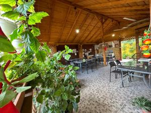a room with tables and chairs and plants at Casa Cu Flori Corbu in Corbu