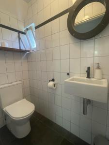 een badkamer met een toilet, een wastafel en een spiegel bij Ecolodge Bergzicht de Bosuil - vakantiehuis aan het bos in Lochem