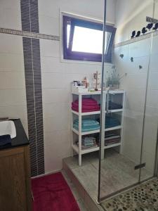 une salle de bain avec une douche avec une porte vitrée dans l'établissement Appartement de charme , Royan, proche mer avec balcon., à Royan