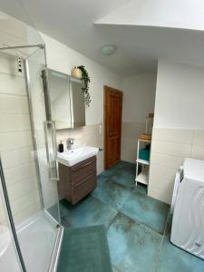 uma casa de banho com um chuveiro, um lavatório e um chuveiro em Ferienhaus am Wald em Friesenried