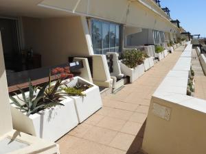 a row of potted plants on the side of a building at Le Rouge et Le Noir 45 m2 sur Coursives Gde Terrasse Port Nature Naturiste in Cap d'Agde