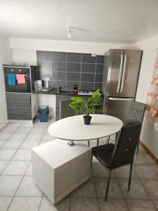 eine Küche mit einem Tisch und einer Pflanze darauf in der Unterkunft 3 rue Maurice Utrillo in Bourg-en-Bresse