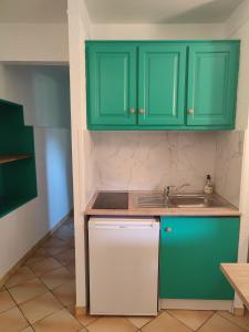 a kitchen with green cabinets and a sink at Château Saint-Martin in Carcassonne