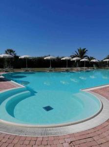 una grande piscina con acqua blu e ombrelloni di Casa della Fattoria, Tuscany Chic Flat a La Cinquantina