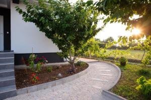 chodnik z drzewem w ogrodzie w obiekcie Villa Lotta & Nolla w mieście Mostar