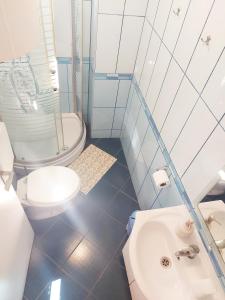 een blauwe en witte badkamer met een toilet en een wastafel bij Apartment Rita in Senj