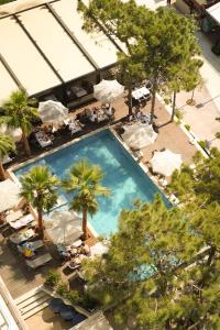 an overhead view of a swimming pool with palm trees at Albanian Star Hotel in Golem