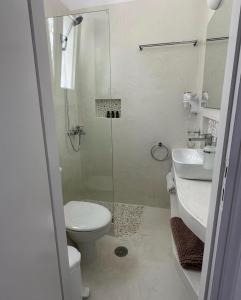 a bathroom with a shower and a toilet and a sink at Studios Eleni I in Tinos