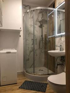 uma casa de banho com um chuveiro e um lavatório. em Apartament Nowy Port em Gdansk