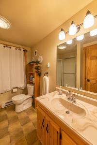 a bathroom with a sink and a toilet and a mirror at Creekside Hideaway in Reedsville