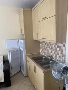 een kleine keuken met een wastafel en een koelkast bij Rexhina Apartments in Durrës