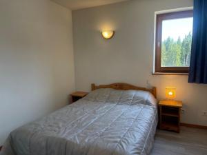 a small bedroom with a bed and a window at Appartement Morillon 1100, 2 pièces, 7 personnes - FR-1-624-100 in Morillon