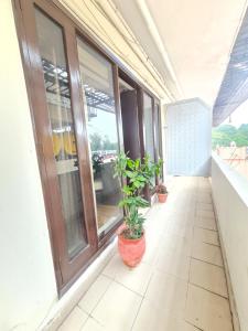 a porch with windows and a potted plant on it at Hotel Central Palace in Dehradun