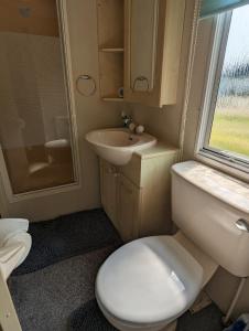 a small bathroom with a toilet and a sink at 30 Glenfinart Caravan Park in Dunoon