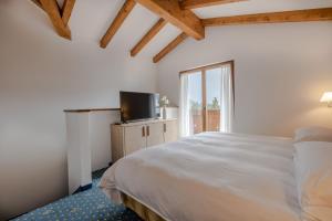 a bedroom with a bed and a tv and a window at Hotel Stalon Alpine Chic in San Martino di Castrozza