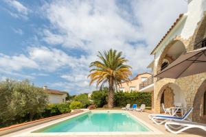 a villa with a swimming pool and a palm tree at Villa Amistad in Caserío Bufagañas