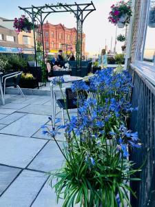 a patio with blue flowers and a table and chairs at Danescourt Lodge in Blackpool