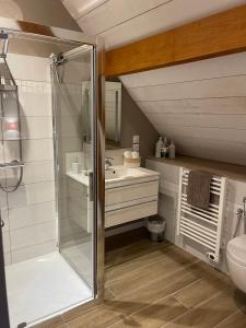 ein Bad mit einer Dusche, einem Waschbecken und einem WC in der Unterkunft Domaine des pierres trouvées in Saint-Vincent