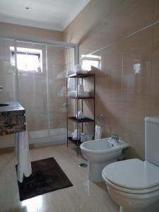 a bathroom with a toilet and a sink and a shower at Casa da Avo dos Anjos in Casais de São Mamede