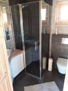 a bathroom with a glass shower and a toilet at Domek letniskowy Orzech Rydzewo in Rydzewo