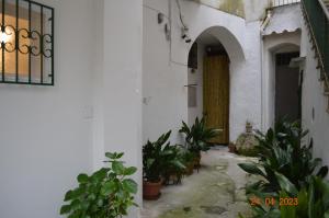 einen Innenhof mit Topfpflanzen in einem Gebäude in der Unterkunft Domus Lina in Ravello