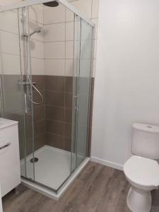 y baño con ducha y aseo. en SER2 Studio , 2 lits simples, wifi, sweet home, en Saint-Étienne-du-Rouvray