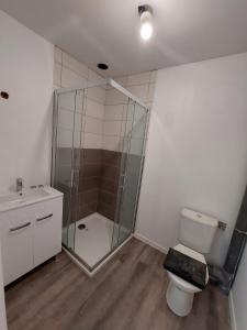 y baño con ducha, aseo y lavamanos. en SER2 Studio , 2 lits simples, wifi, sweet home, en Saint-Étienne-du-Rouvray