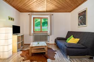 a living room with a couch and a tv at Balzerberg in Weiler-Simmerberg