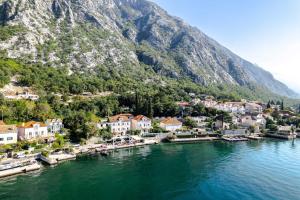 a small town on the water with a mountain at Villa Shah Complex in Kotor