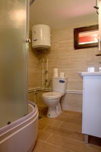 une salle de bain avec toilettes et lavabo dans l'établissement D&S Kovacevic Apartments Zabljak, à Žabljak