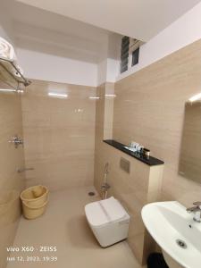 Chittoor的住宿－RAJA MAHAL，一间带卫生间和水槽的浴室