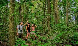 un grupo de personas de pie en el bosque en Three Angels Lodge & Restaurant, en Chitwan