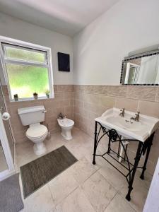 a bathroom with a toilet and a sink and a window at LOCH CONNELL LODGE in Letterkenny
