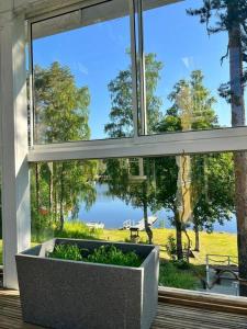 薩翁林納的住宿－Huvila Kyrönniemi，前面有一个种植园的大窗户