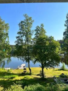 a view of a lake with two trees and a bench at Huvila Kyrönniemi in Savonlinna