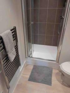 a bathroom with a shower and a toilet at Stylish 3 beds North Greenwich 02 Arena Apartment in London