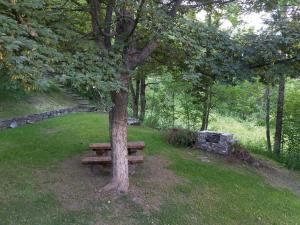 a wooden bench sitting under a tree in a park at La petite maison in La Thuile