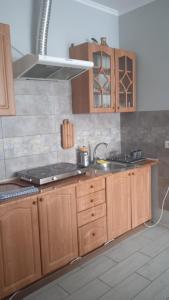 a kitchen with wooden cabinets and a sink at Будинок для відпочинку Dana in Berehove