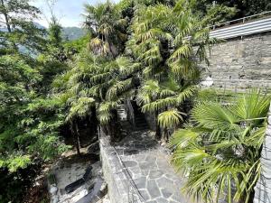 a walkway with palm trees next to a building at Casa Magging un oasi nel verde in Locarno