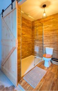 a bathroom with a shower with a toilet and a shower stall at LA MAISON D'ANNIE in Banne