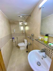 La salle de bains est pourvue d'un lavabo, de toilettes et d'un miroir. dans l'établissement Park Hyatt Dhaka, à Dhaka