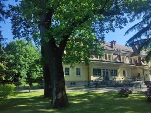 a large yellow house with a large tree in the yard at Residence Park in Bielsko-Biała