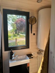 baño pequeño con lavabo y ventana en Tiny House et chevaux en Le Breuil
