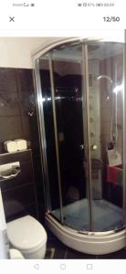 a bathroom with a shower with a toilet and a sink at COSY APARTMENT FILIP IN THE HISTORICAL OLD TOWN in Koper