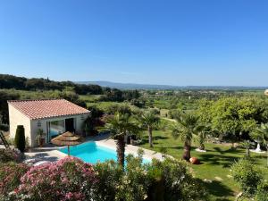 a villa with a swimming pool and palm trees at La Thomalie in Crillon-le-Brave